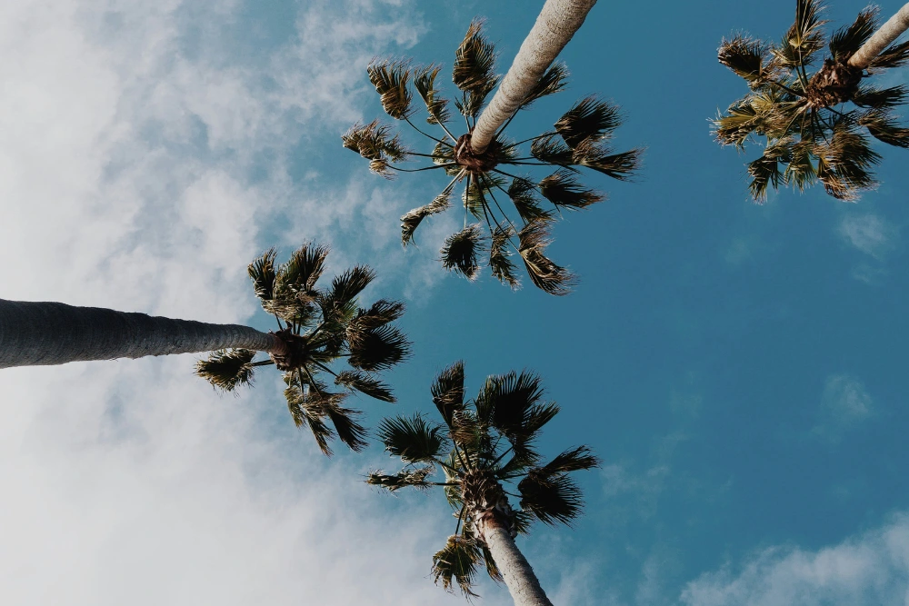 Contact Shoreline Recovery Center